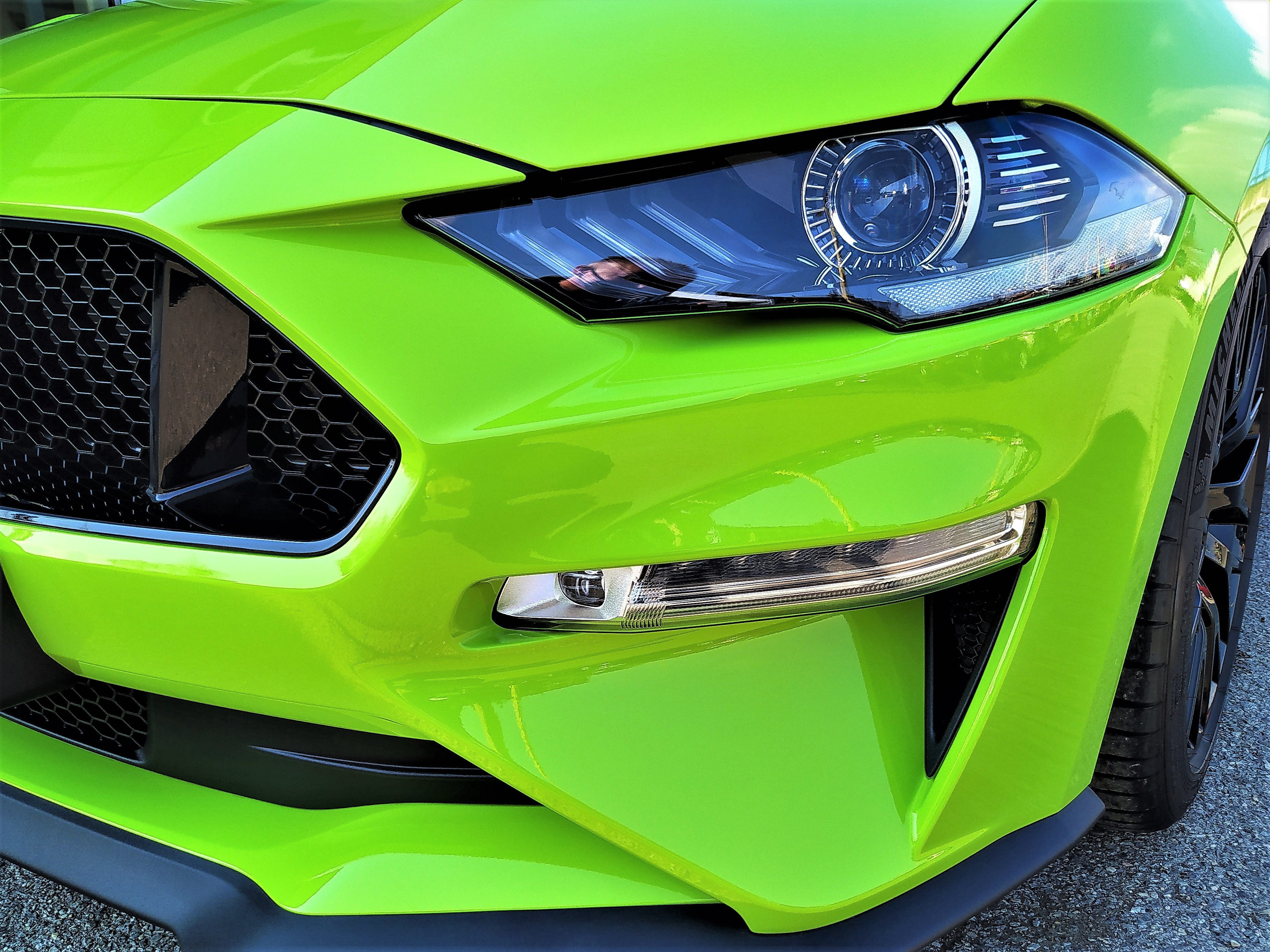 Mustang 7.jpg