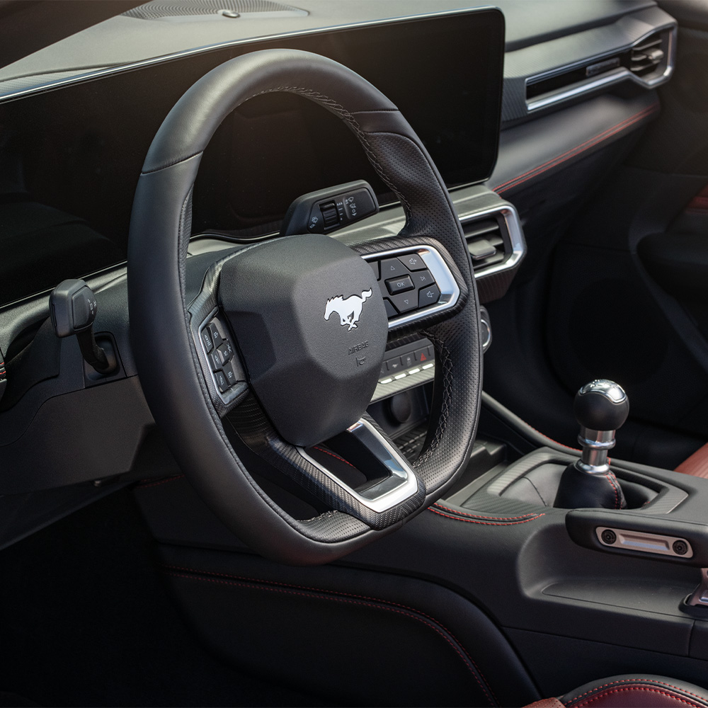 Mustang7.jpg